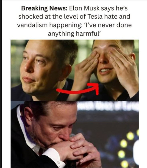 "Sucit je slabost!" - E. Musk