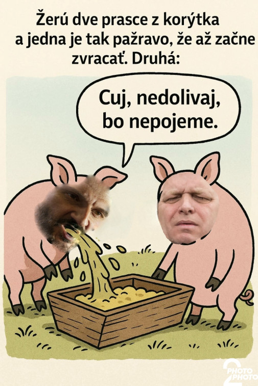 Nedalo nespraviť