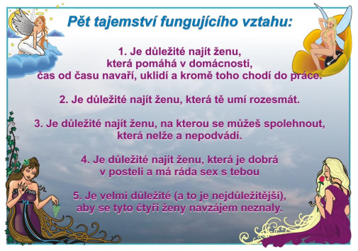 Ideálna žena (y)